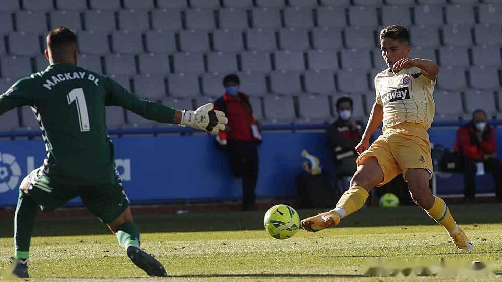 荷甲直播在线观看高清-开云APP